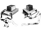 Phylacteries or Tefillim